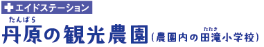 丹原観光農園 丹原観光農園